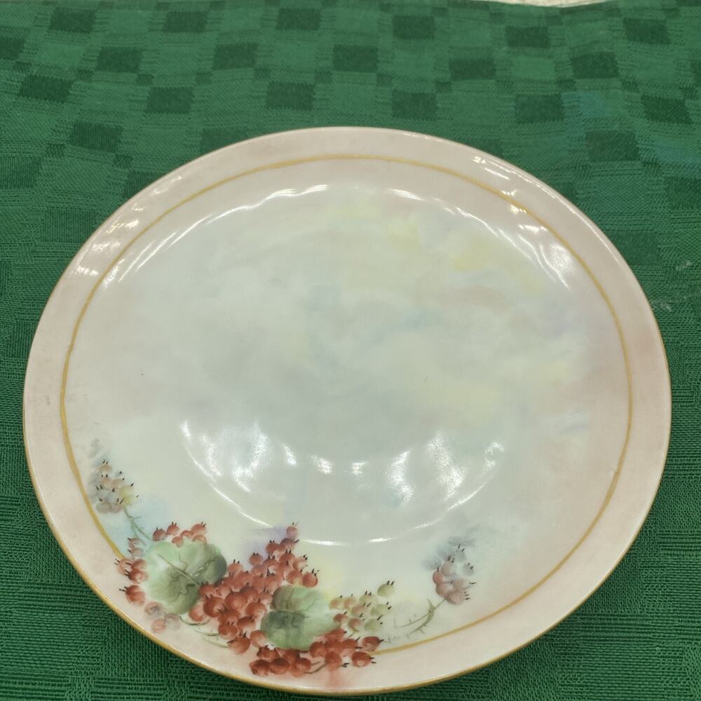 Fraureuth Germany Collectors Plate Hand Painted Porcelain Fruit 6.5β